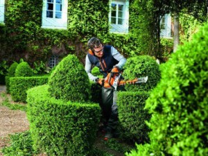 Стрижка растений, деревьев и кустарников Стрижка деревьев и кустарников