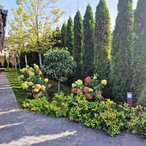 Устройство цветника на земельном участке