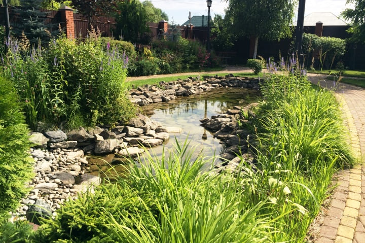 Устройство пруда, дорожек, посадка растений